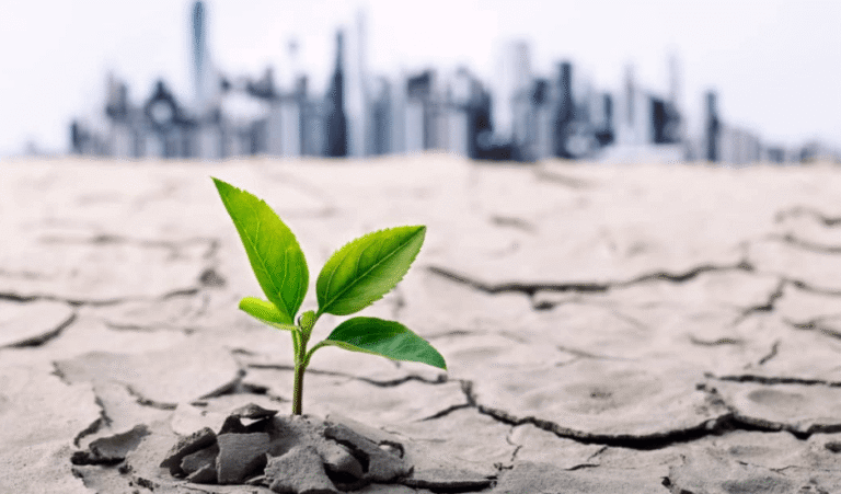 Clean Water Solutions for a Modern City