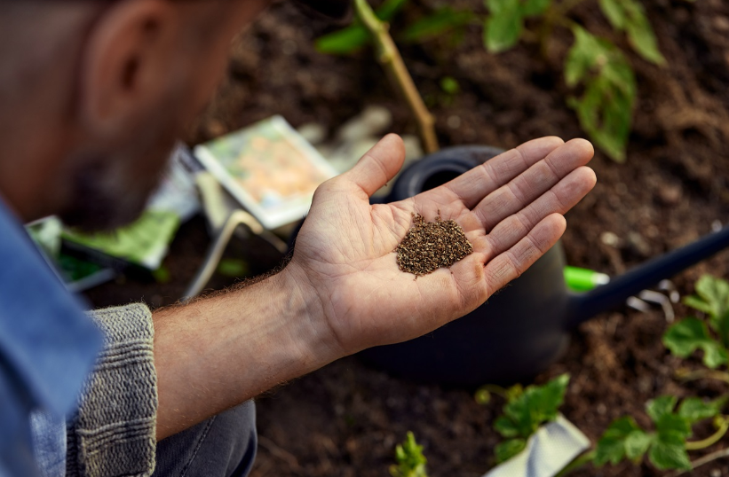 Understanding Fertilizer Use for Healthy Crops