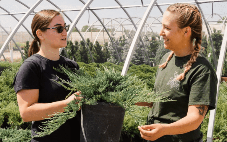 How to Choose the Right Wholesale Plant Nursery for Your Business