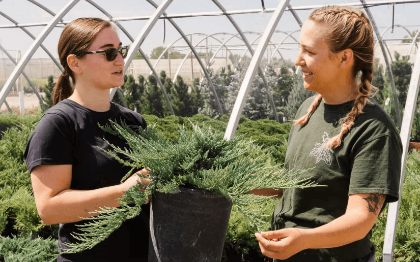 How to Choose the Right Wholesale Plant Nursery for Your Business